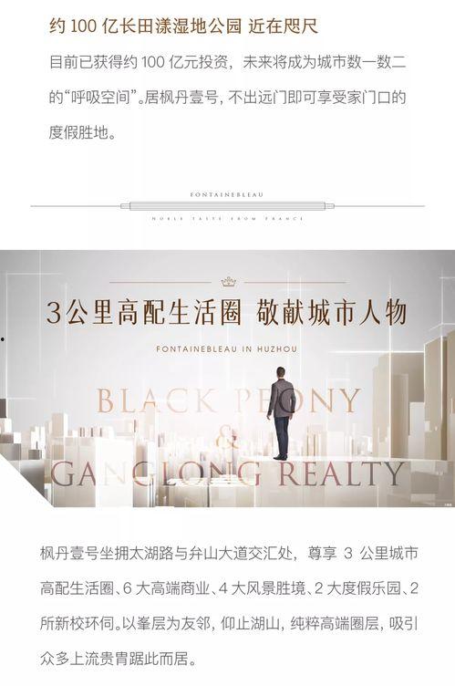 枫丹预告爆料最新消息今天,揭秘预告爆料，今日最新动态一览