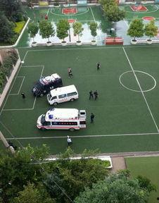 昆明小学爆料事件最新,揭开校园安全与监管的隐忧