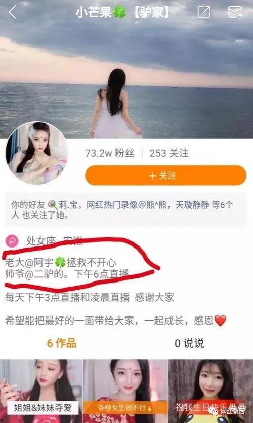 网红事件爆料最新情况,真相大白，反转再反转