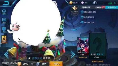 王者最新皮肤爆料成动画,新皮肤动画首曝，神秘英雄华丽登场