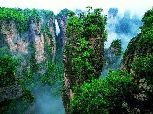 张家界司机爆料案件最新,揭秘惊心动魄的真相瞬间